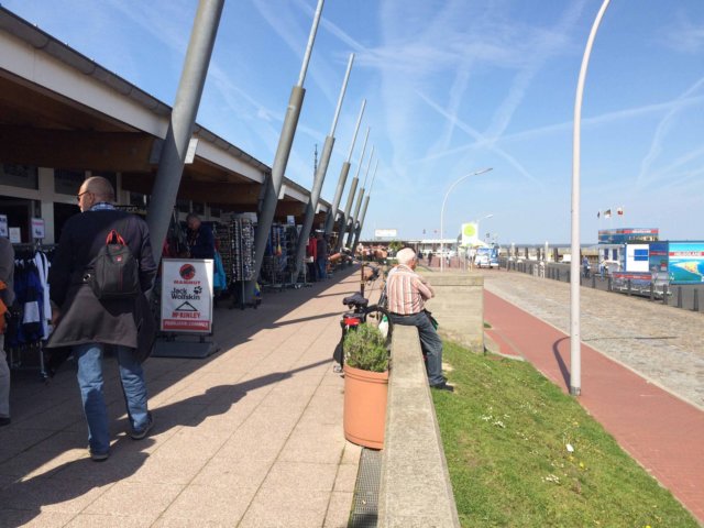 hollandmcferiemaj201515.jpg