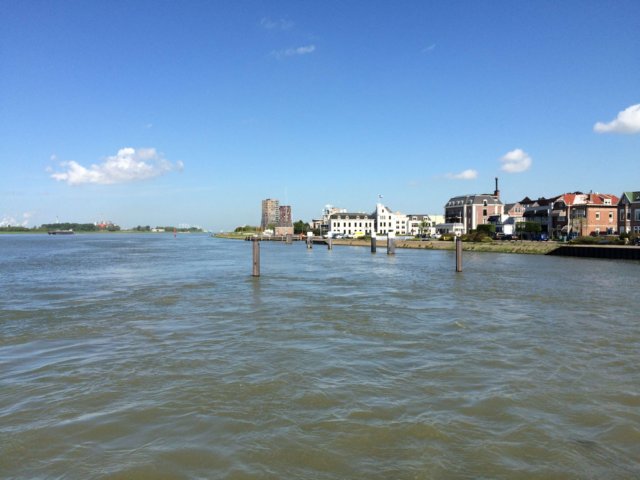 hollandmcferiemaj201552.jpg